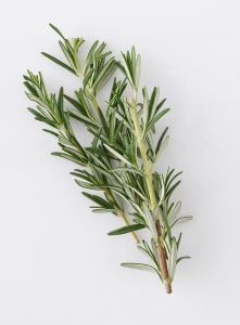 Rosemary