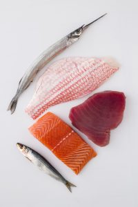 Ocean Fish